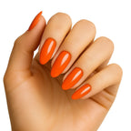 The Queen Nail Paints