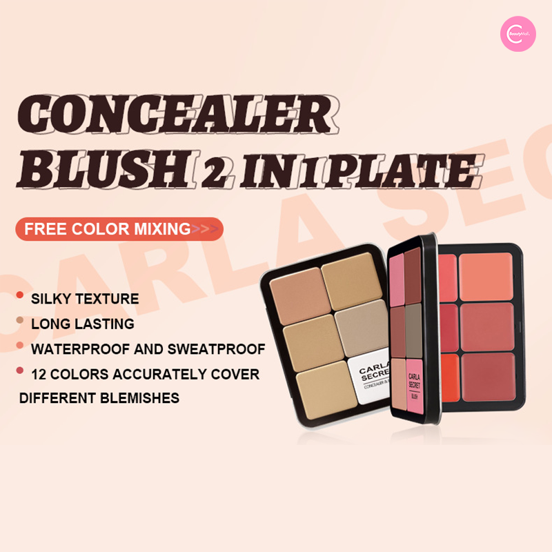 2-in-1 Concealer & Blush Makeup Palette – Full Coverage & Blendable Shades